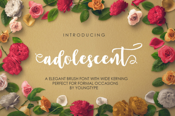 Adolescent Font Review: A Kind Script for Modern Branding