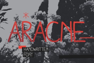 Aracne Typeface: The Creative Font for Bold Brand Identity