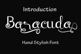 Baraccuda: The Script Typeface That Elevates Modern Web Design