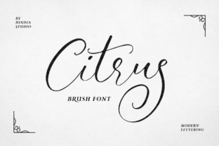 Citrus: A Handmade Script Typeface for Editorial Design