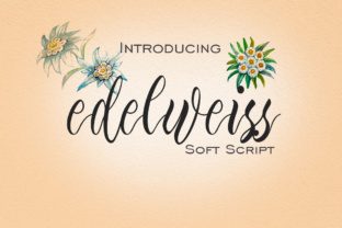 Edelweiss: The Premium Script Font for Campaign Design