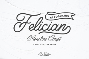 Felician Font Review: A Modern Monoline Typeface for Real Branding