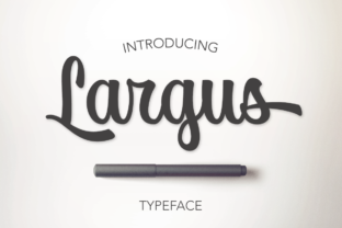 Largus: A Designer's Honest Review for Real-World Branding