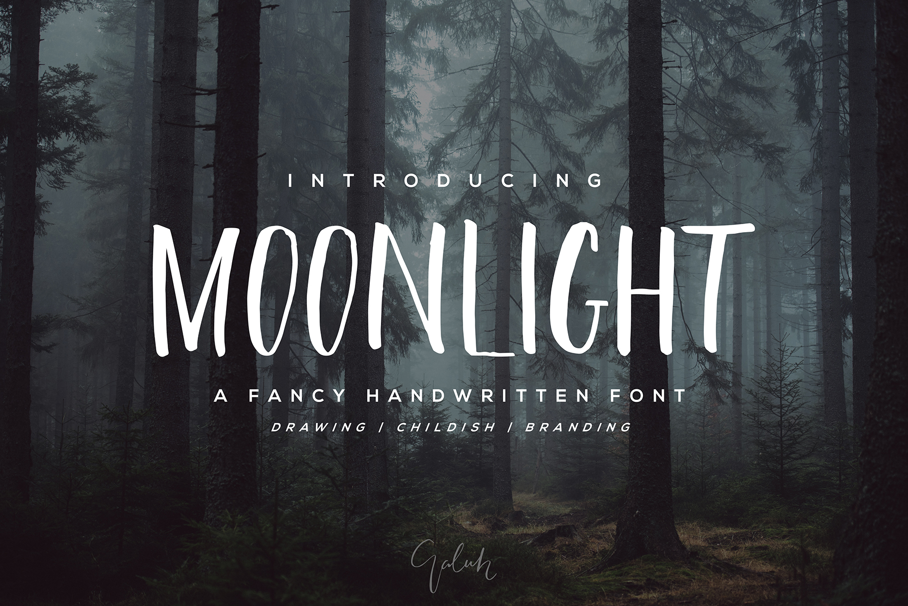 Moonlight Typeface: A Creative Script for Modern Campaigns