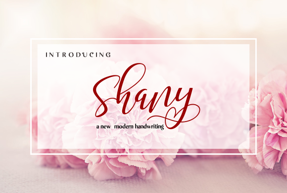 Shany Typeface: A Modern Handwritten Font for Digital Brands