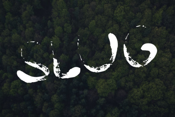 Slug: The Premium Script Font for Scroll-Stopping Campaigns