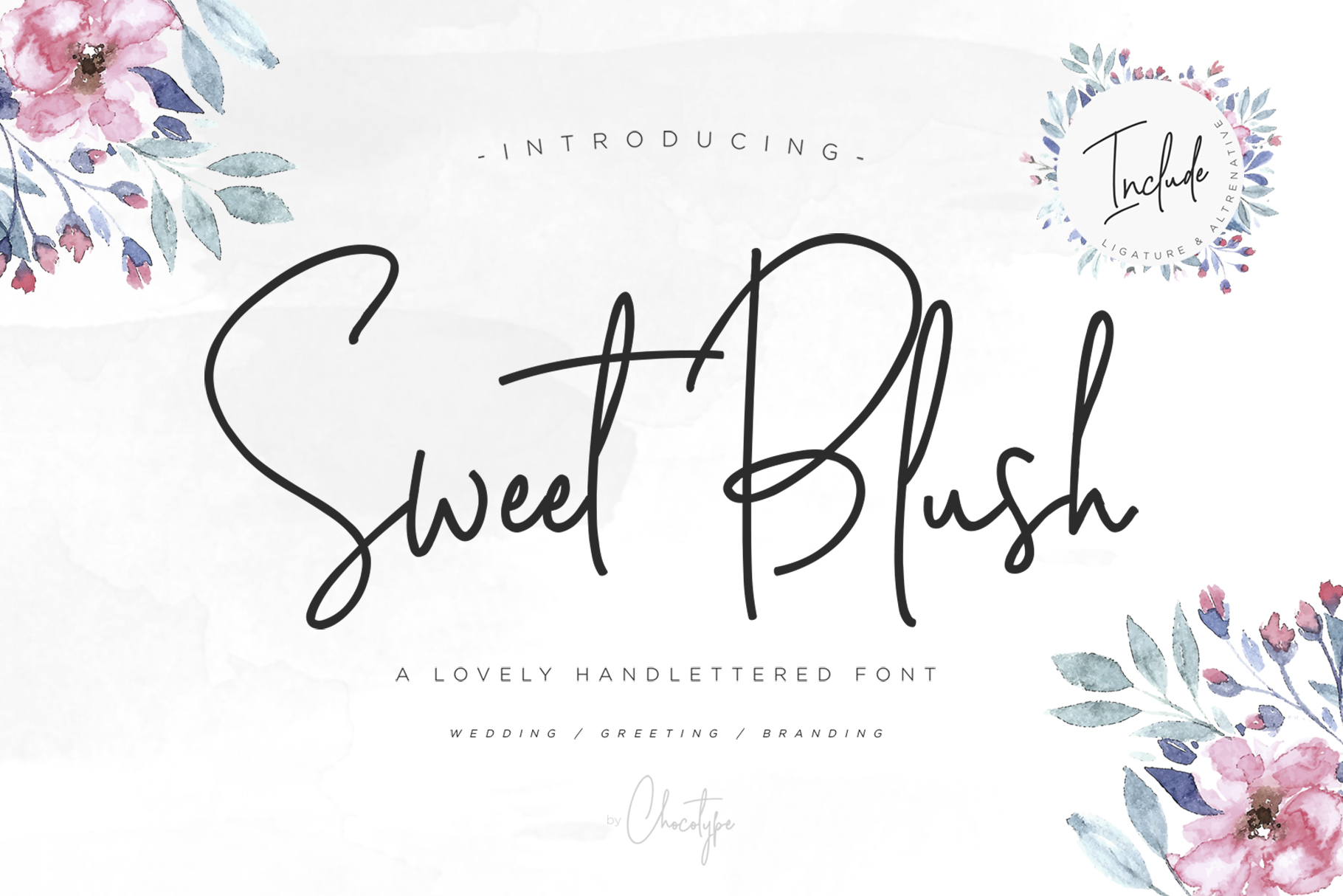 Why Sweet Blush Is the Perfect Script Font for Editorial Design